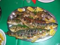 zgodbice